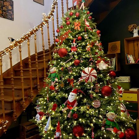 Sojolidays - Appartements D'Hotes Sur La Route Des Vins D'Alsace Rorschwihr 外观 照片