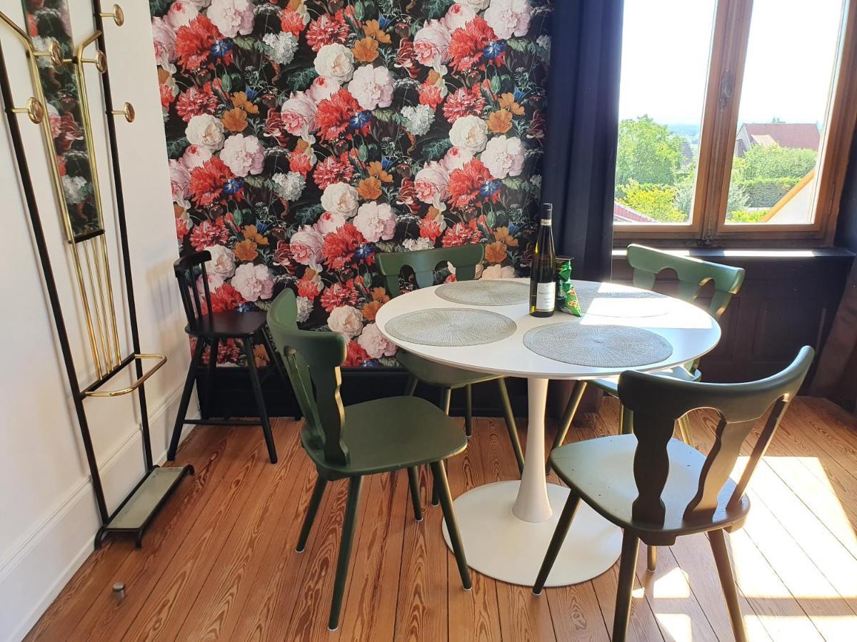 Sojolidays - Appartements D'Hotes Sur La Route Des Vins D'Alsace Rorschwihr 外观 照片