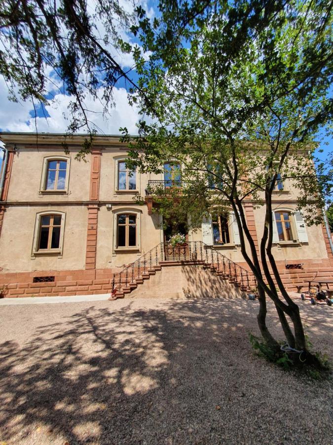 Sojolidays - Appartements D'Hotes Sur La Route Des Vins D'Alsace Rorschwihr 外观 照片