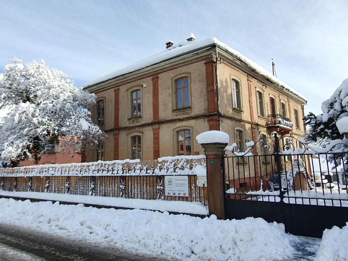 Sojolidays - Appartements D'Hotes Sur La Route Des Vins D'Alsace Rorschwihr 外观 照片
